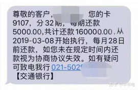 都江堰为什么选择专业追讨公司来处理您的债务纠纷？